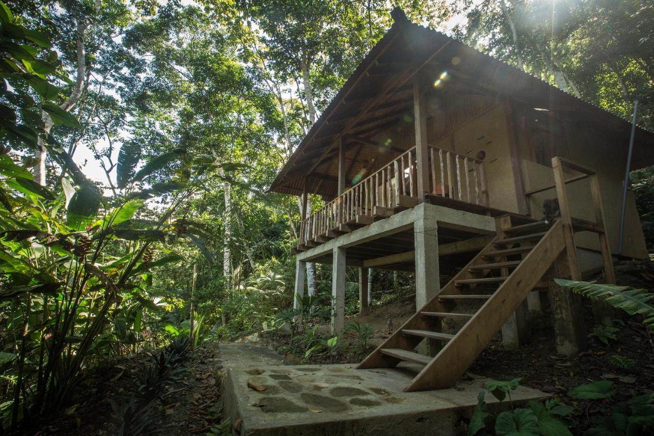 Chirapa Manta Amazon Lodge Lamas Luaran gambar