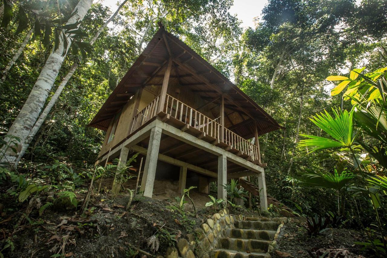 Chirapa Manta Amazon Lodge Lamas Luaran gambar