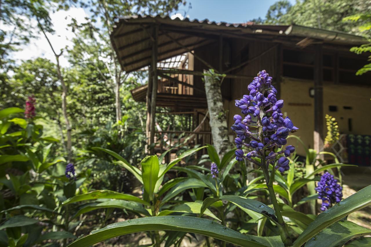 Chirapa Manta Amazon Lodge Lamas Luaran gambar