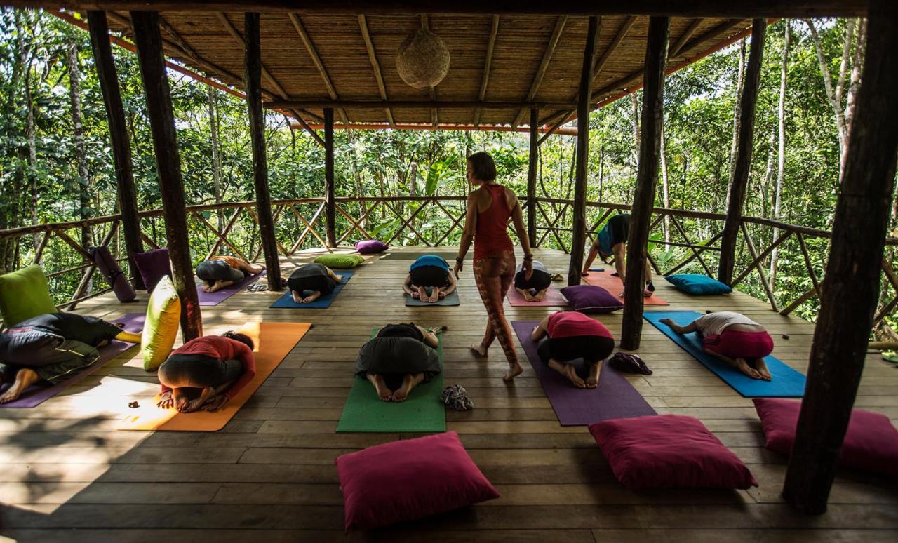 Chirapa Manta Amazon Lodge Lamas Luaran gambar