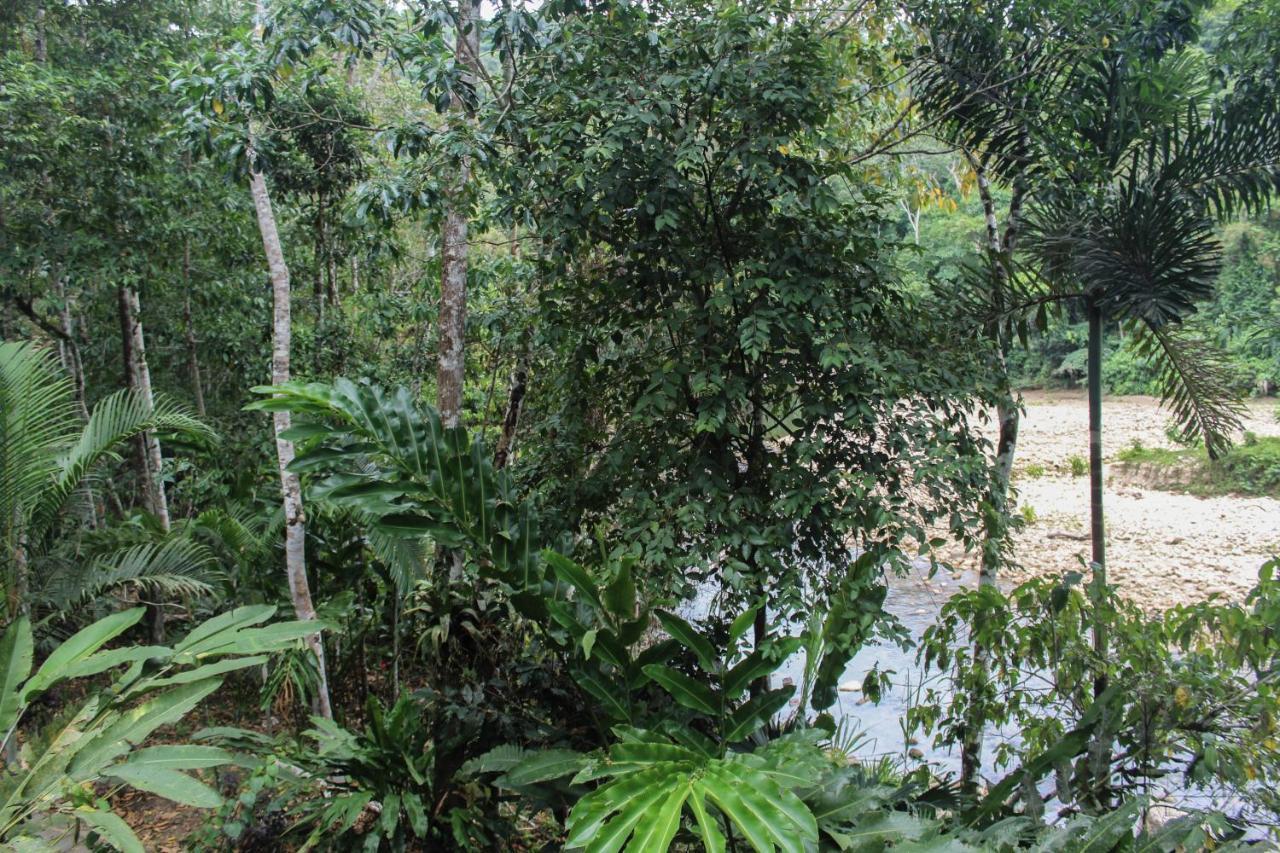 Chirapa Manta Amazon Lodge Lamas Luaran gambar