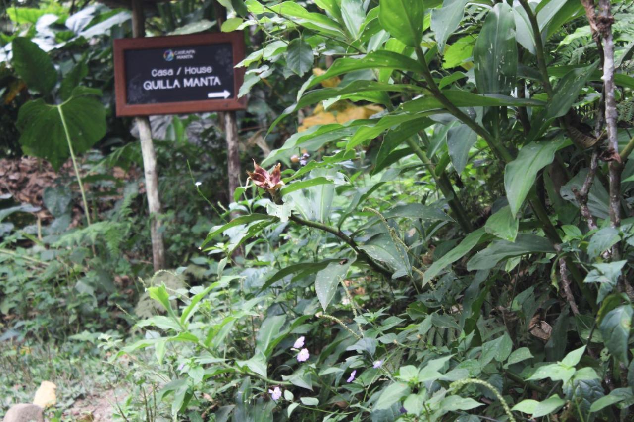 Chirapa Manta Amazon Lodge Lamas Luaran gambar